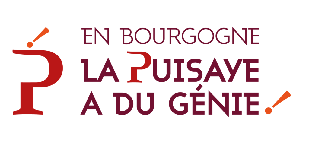 Logo la Puisaye a du talent