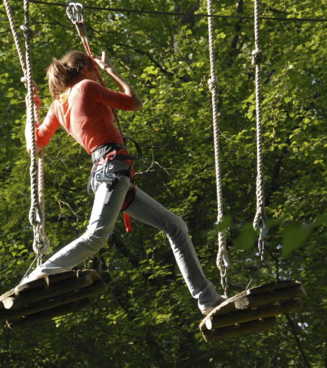 Bois de la folie